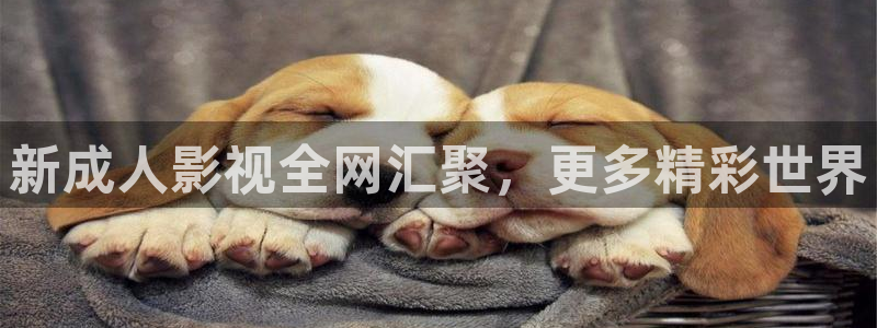 人人看免费高清视频