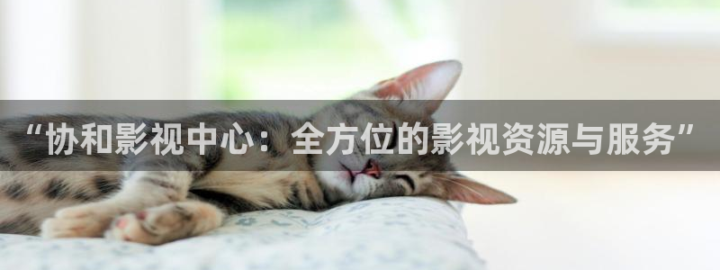 成年人人片