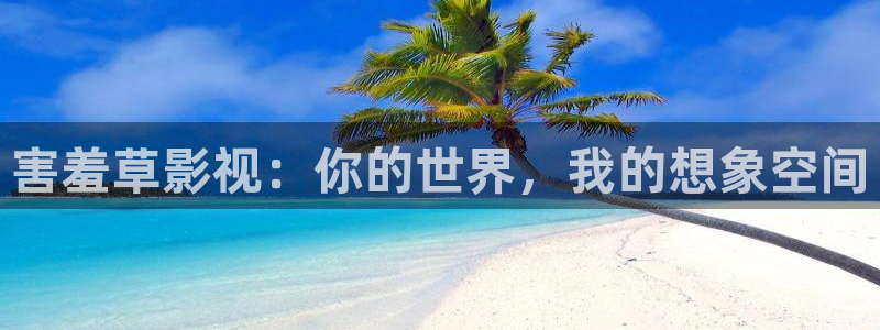 97视频人人